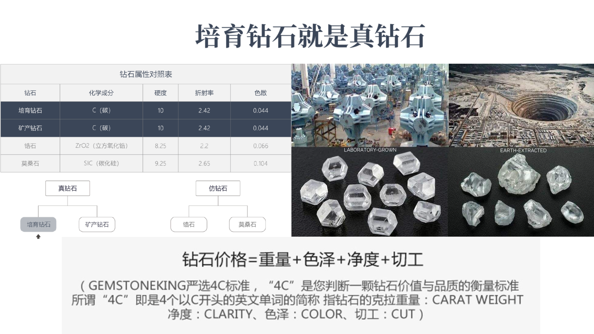 培育钻石业务_Niko創業投資株式会社